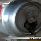 pepsi2--450.jpg