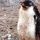 IfS-Mühletor / Outdoor-Adventure