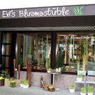 Eröffnung von Evis Bluamastüble Nüziders