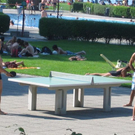 IMG_6446.JPG