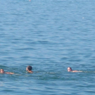 IMG_0484.JPG