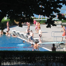 IMG_6462.JPG