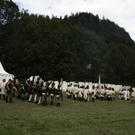 _MG_5117.JPG