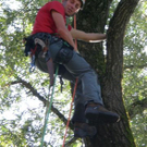Baumpflege Schwarzbad 2009 _12_.JPG