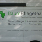 Baumpflege Schwarzbad 2009 _20_.JPG
