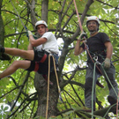 Baumpflege Schwarzbad 2009 _21_.JPG
