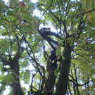 Baumpflege Schwarzbad 2009 _23_.JPG
