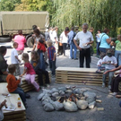 DSCF0941.JPG