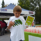 P1000378.JPG