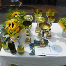 Bild 303_jpg-1278657057