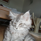 Gizi und Azi 021_jpg-1278682173