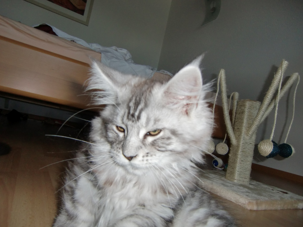 Gizi und Azi 021_jpg-1278682173