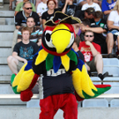 th-00139381.jpg
