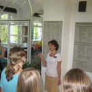 IMG_1705_JPG-1278767192