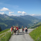IMG_7240_JPG-1278771654