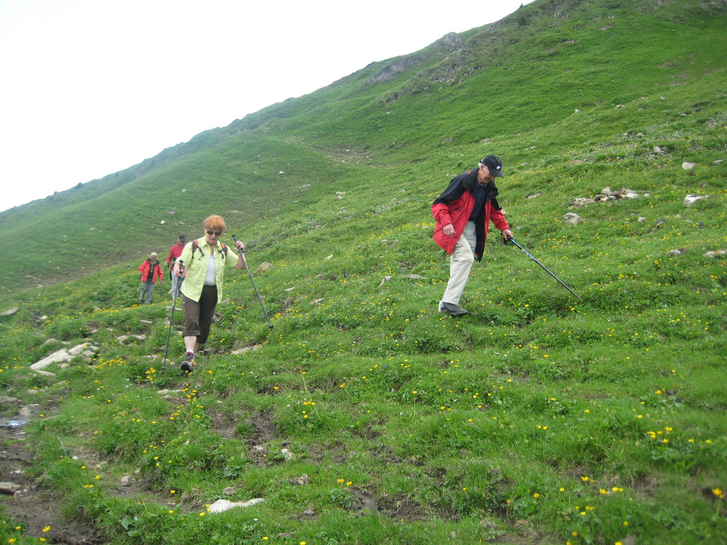 IMG_7264_JPG-1278771886