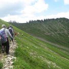 IMG_7267_JPG-1278771917