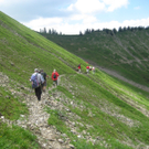 IMG_7269_JPG-1278771970