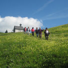 IMG_7232_JPG-1278772958