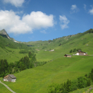 IMG_7233_JPG-1278772981