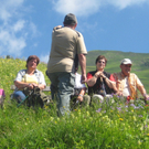 IMG_7234_JPG-1278772988