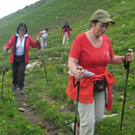IMG_7262_JPG-1278773267