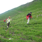IMG_7264_JPG-1278773297
