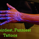 cover2.jpg