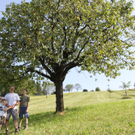 Fam_Bertram_Nachbaur_PeterHof_Juli2010 _8_.jpg