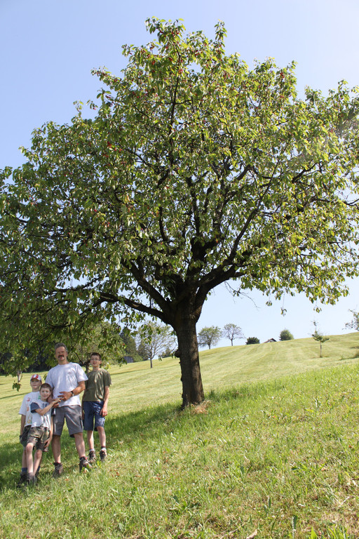 Fam_Bertram_Nachbaur_PeterHof_Juli2010 _9_.jpg