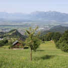 Plantage_Fam_Armin_Nachbaur_Juli2010 _2_.jpg