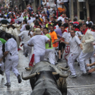 Wieder vier Verletzte beim Stierrennen in Pamplona 