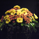 Bild 733_jpg-1278881128