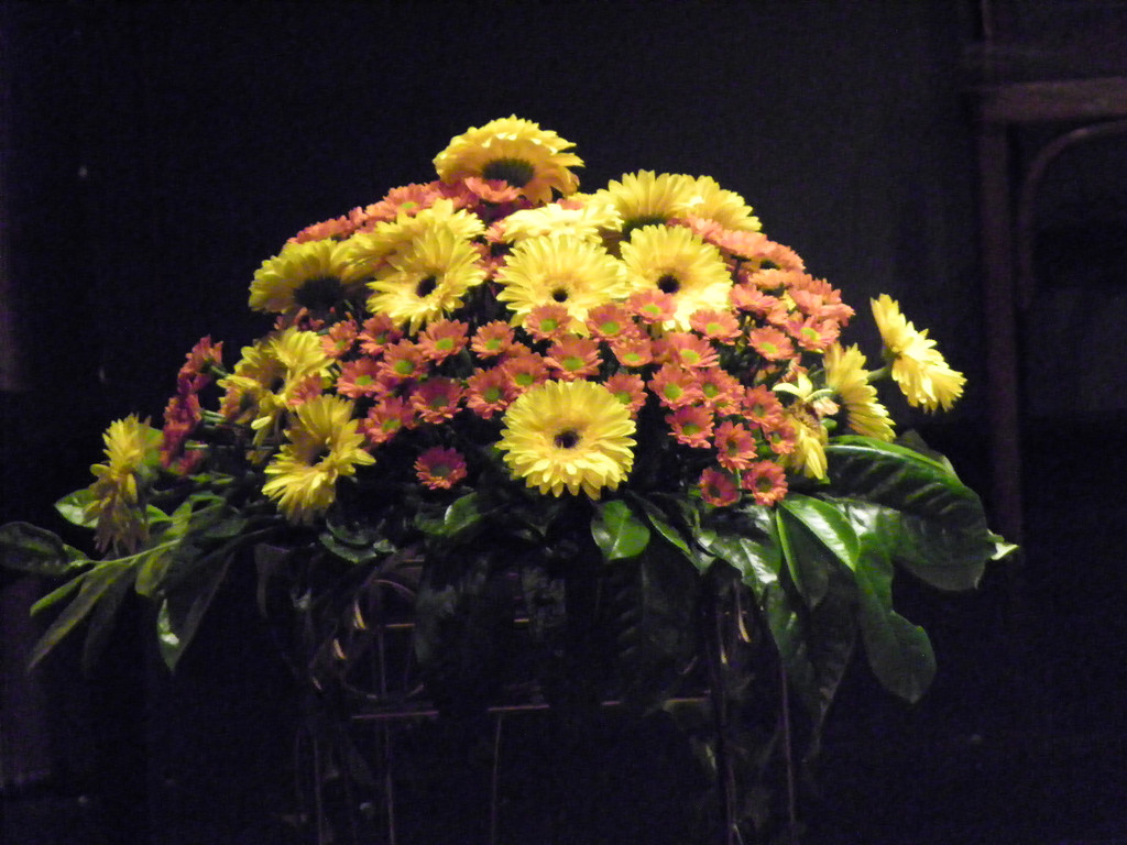 Bild 733_jpg-1278881128