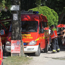 Bilder der Suchaktion