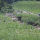 100OLYMP-P7110005.JPG