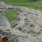 100OLYMP-P7110006.JPG
