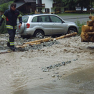 100OLYMP-P7110007.JPG