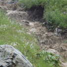 100OLYMP-P7110008.JPG