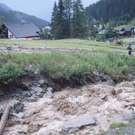 100OLYMP-P7110011.JPG