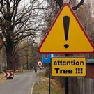 road_signs14.jpg