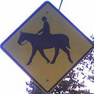 road_signs2.jpg