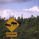 road_signs5.jpg
