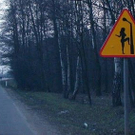 segno5.jpg