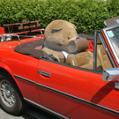 DSC02498_JPG-1278938082