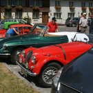 DSC02499_JPG-1278938086