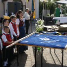 DSC07728.JPG