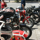 DSC02486_JPG-1278939829