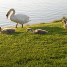 DSCN1234.JPG