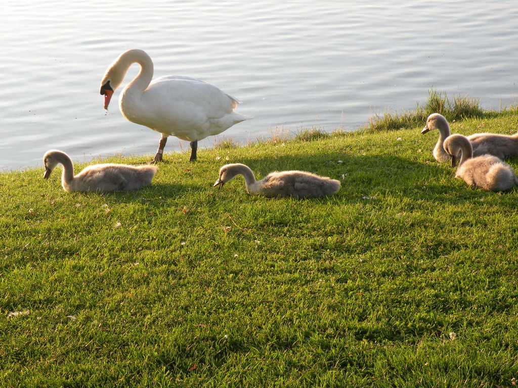 DSCN1234.JPG